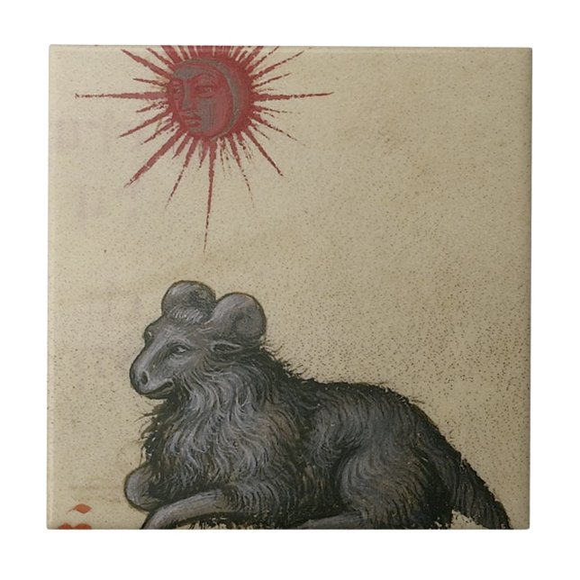 Widder Fliese (Vorderseite)