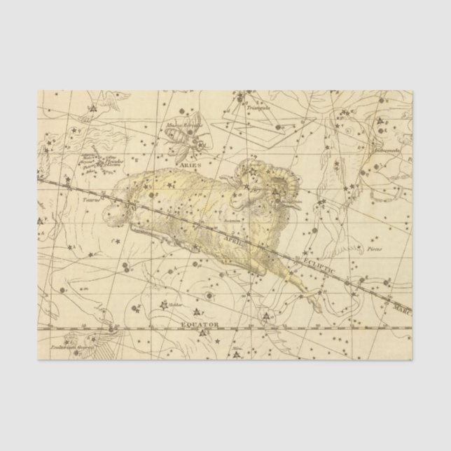 Widder, Musca Borealis Seidenpapier (Vorderseite)