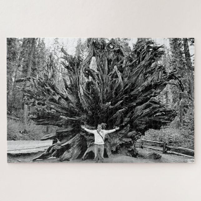 Wide Angle Sequioa Tree Trunk - 20x30 - 1014 Stk. (Horizontal)