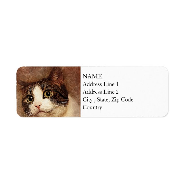 Wide Mit Augen Kitty Portrait | ABSTRAKT | Wasserf (Vorne)