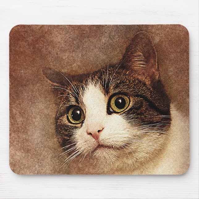 Wide Mit Augen Kitty Portrait | ABSTRAKT | Wasserf Mousepad (Vorne)