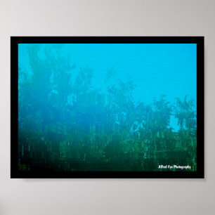 Widerspiegelung im Wasser Poster