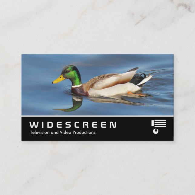 Widescreen 0441 - Mallard Duck Visitenkarte (Vorderseite)