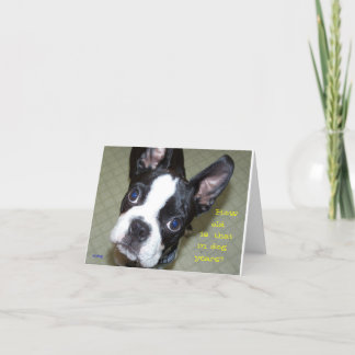 Wie alt in Hundejahre? Karte