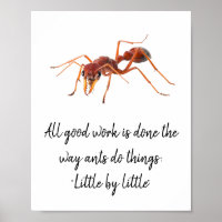 Wie Ameisen funktionieren