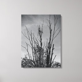 Wie Ashes aus einem Phoenix Leinwanddruck