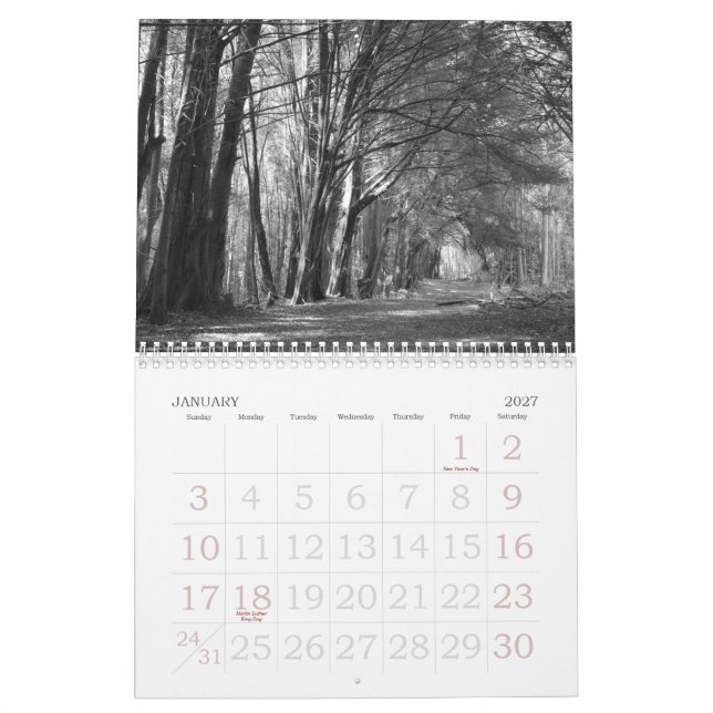 WIE AUGE ES SEHEN! KALENDER (Jan 2027)