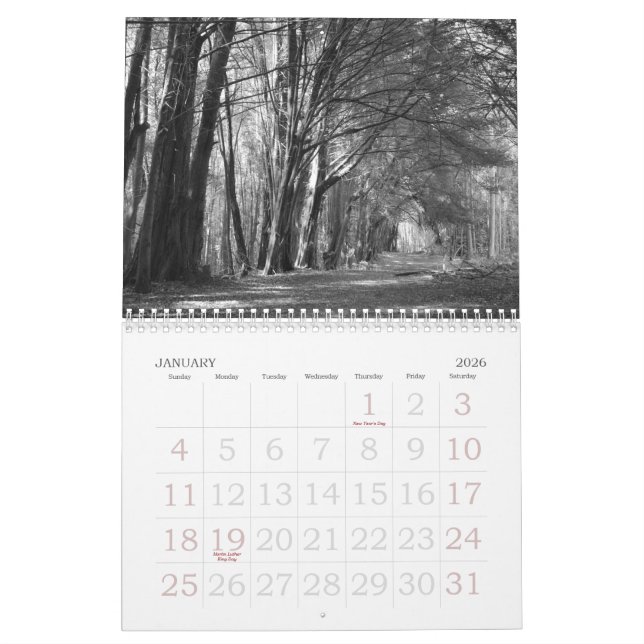 WIE AUGE ES SEHEN! KALENDER (Jan 2026)