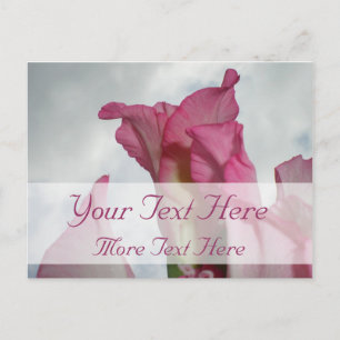 Wie Crystal Pink Gladiolus Postcard Postkarte