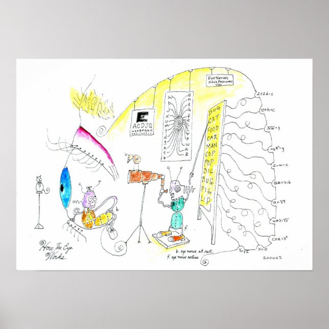 Wie das Auge funktioniert Poster (Vorne)