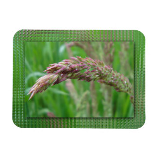 Wie das Gras flexibel wird Magnet