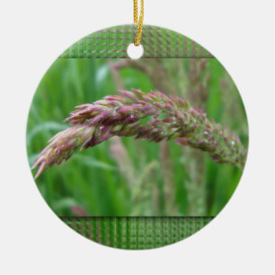 Wie das Gras Ornament wächst