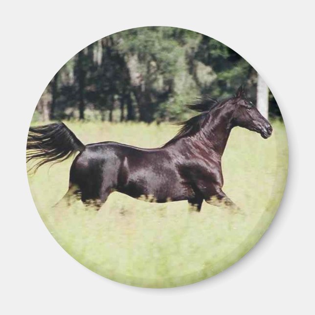 wie der Wind laufen Magnet (Vorne)