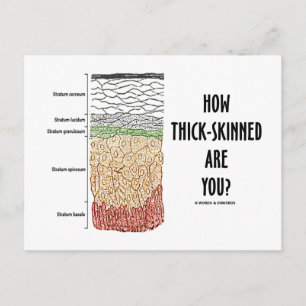 Wie dick gehäutet bist du? (Epidermis Skin Layers) Postkarte