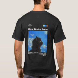 Wie Drake sich an einer kalten Herbstnacht anfühlt T-Shirt