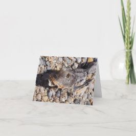 wie ein Fisch aus dem Wasser Karte