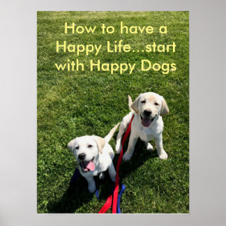 Wie ein glückliches Leben zu haben...Start mit Hap Poster