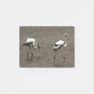 Wie ein junges, künstlerisches Flamingo in Grau Post-it Klebezettel