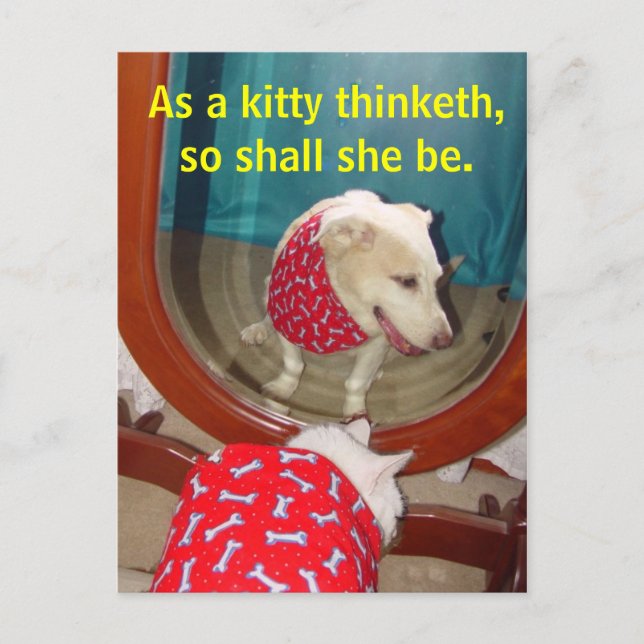 Wie ein Kätzchen denkt... Postkarte (Vorderseite)