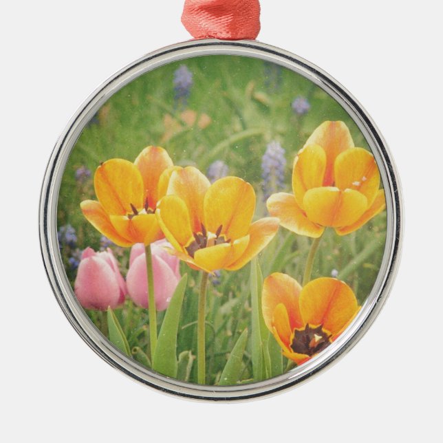 Wie ein schönes Stillleben Silbernes Ornament (Vorne)