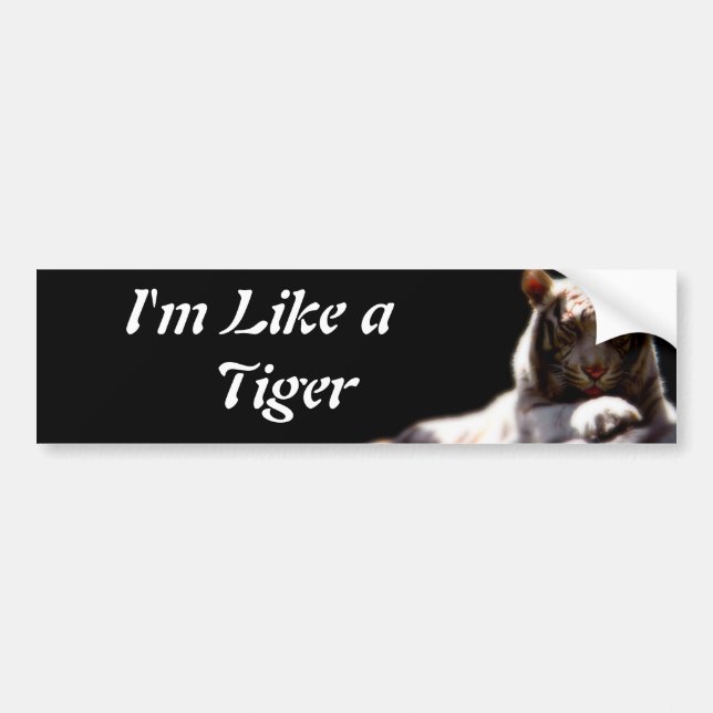 Wie ein Tiger Autoaufkleber (Vorne)