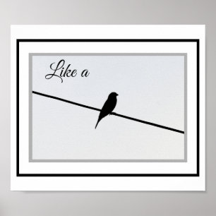 Wie ein Vogel auf einem Draht Poster