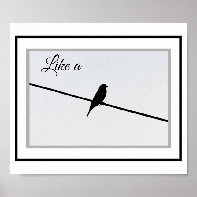 Wie ein Vogel auf einem Wirt Poster (Vorne)