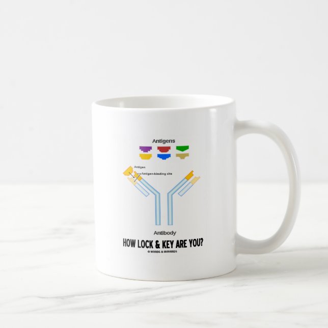 Wie fest und fest sind Sie? (Antigen-Antikörper) Kaffeetasse (Rechts)