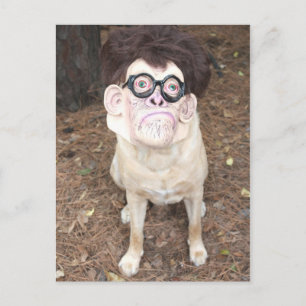 Wie gefällt dir mein Kostüm? Postkarte