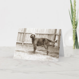 Wie geht es dir? karte