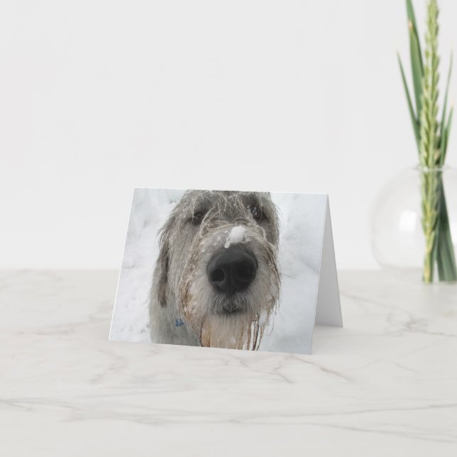 Wie geht es dir? karte (Vorderseite)