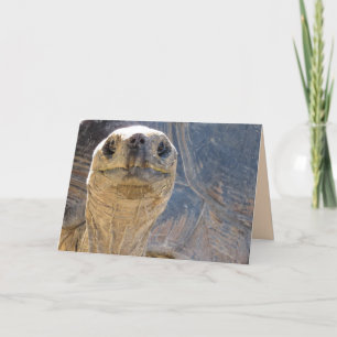 Wie geht es Ya? Tortoise Grußkarte Karte