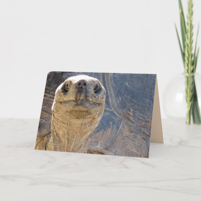 Wie geht es Ya? Tortoise Grußkarte Karte (Vorderseite)