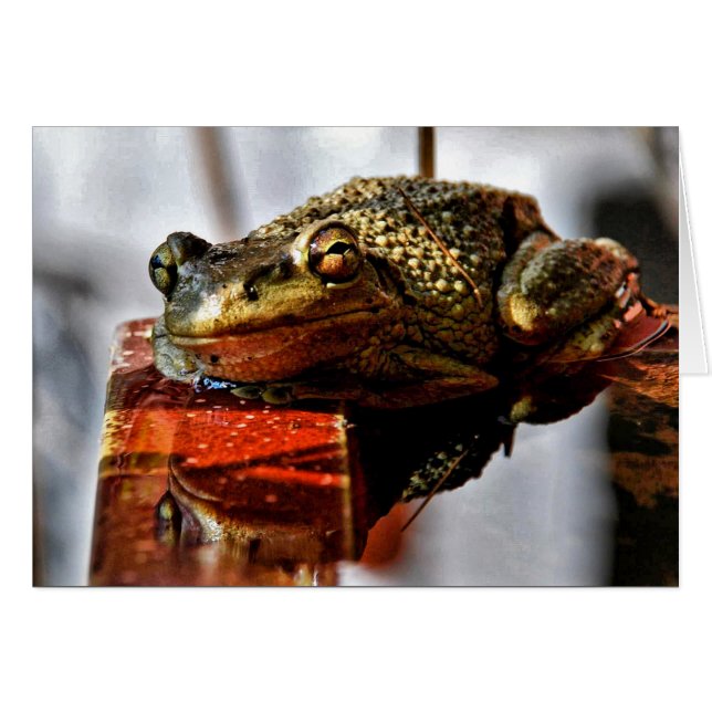 Wie geht's dir? (Vorderseite (Horizontal))