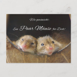 Wie gewünscht: Ein Mäuse für Dich! Postkarte