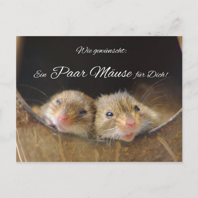 Wie gewünscht: Ein Mäuse für Dich! Postkarte (Vorderseite)