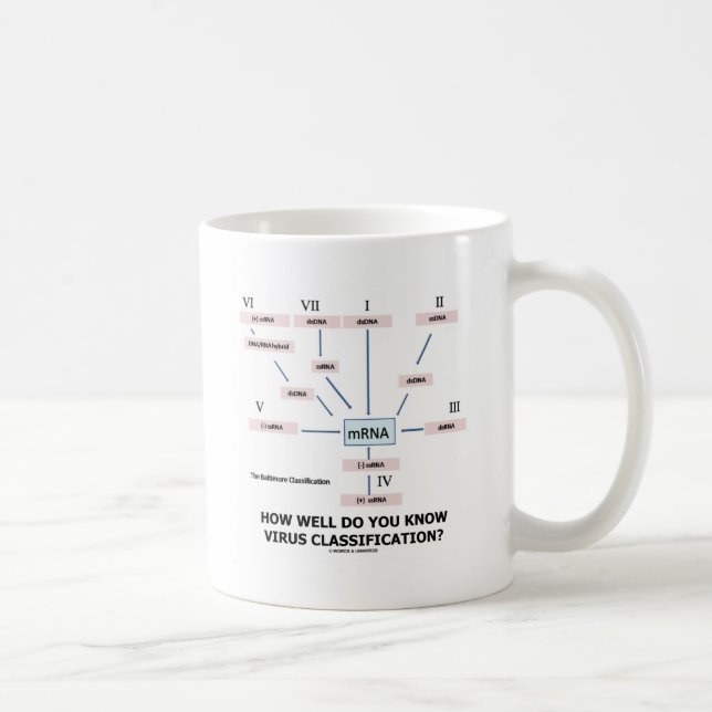 Wie gut kennen Sie die Virenklassifizierung? Kaffeetasse (Rechts)