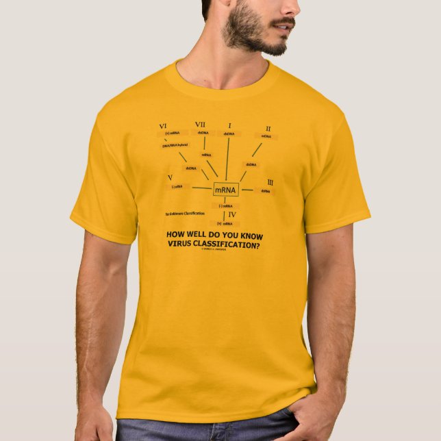 Wie gut kennen Sie Virus-Klassifikation? T-Shirt (Vorderseite)