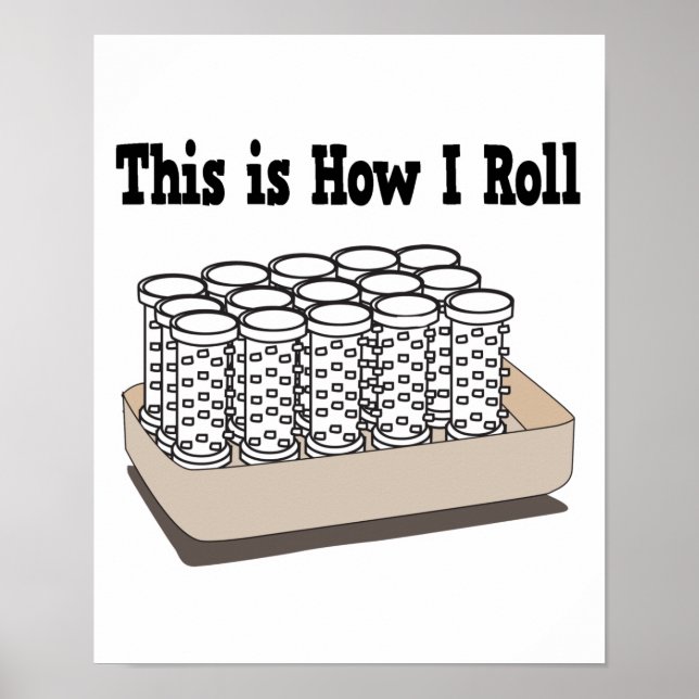 Wie ich Haarkurler rollen kann Poster (Vorne)