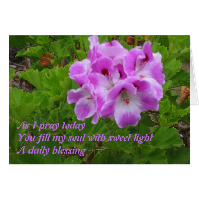 Wie ich heute bete (Vorderseite (Horizontal))