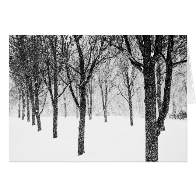 wie ich Seite an Seite mit Bäumen (Vorderseite (Horizontal))