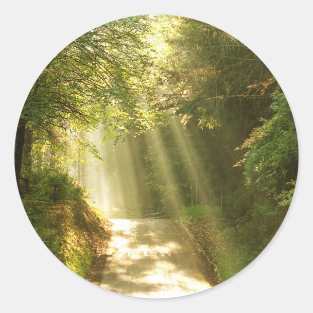 Wie im Himmel, Wald mit Sonnenstrahlen Runder Aufkleber (Vorderseite)
