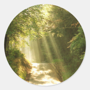Wie im Himmel, Wald mit Sonnenstrahlen Runder Aufkleber