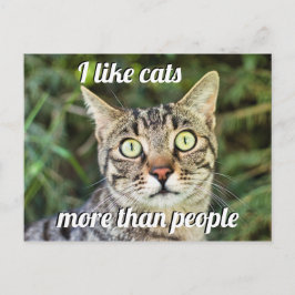 Wie Katzen mehr als Menschen, die mit Augen Katze  Postkarte