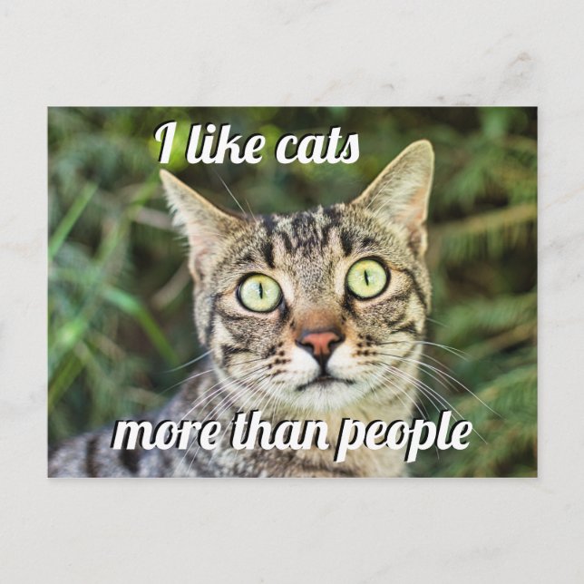 Wie Katzen mehr als Menschen, die mit Augen Katze  Postkarte (Vorderseite)