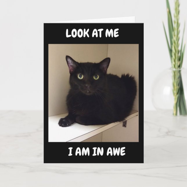 WIE KÖNNEN SIE "50" WENDEN? KARTE (Vorderseite)