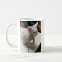 Wie konntest du?! Kaffeetasse, Schuld-Trip Kaffeet