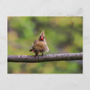 Wie läuft Ihr Tag? Postkarte