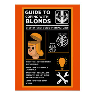 Wie man Blonds versteht Poster