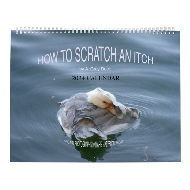 WIE MAN EIN ITCH VON A. Grey Duck 2024 SCRATCH? Kalender (Titelbild)